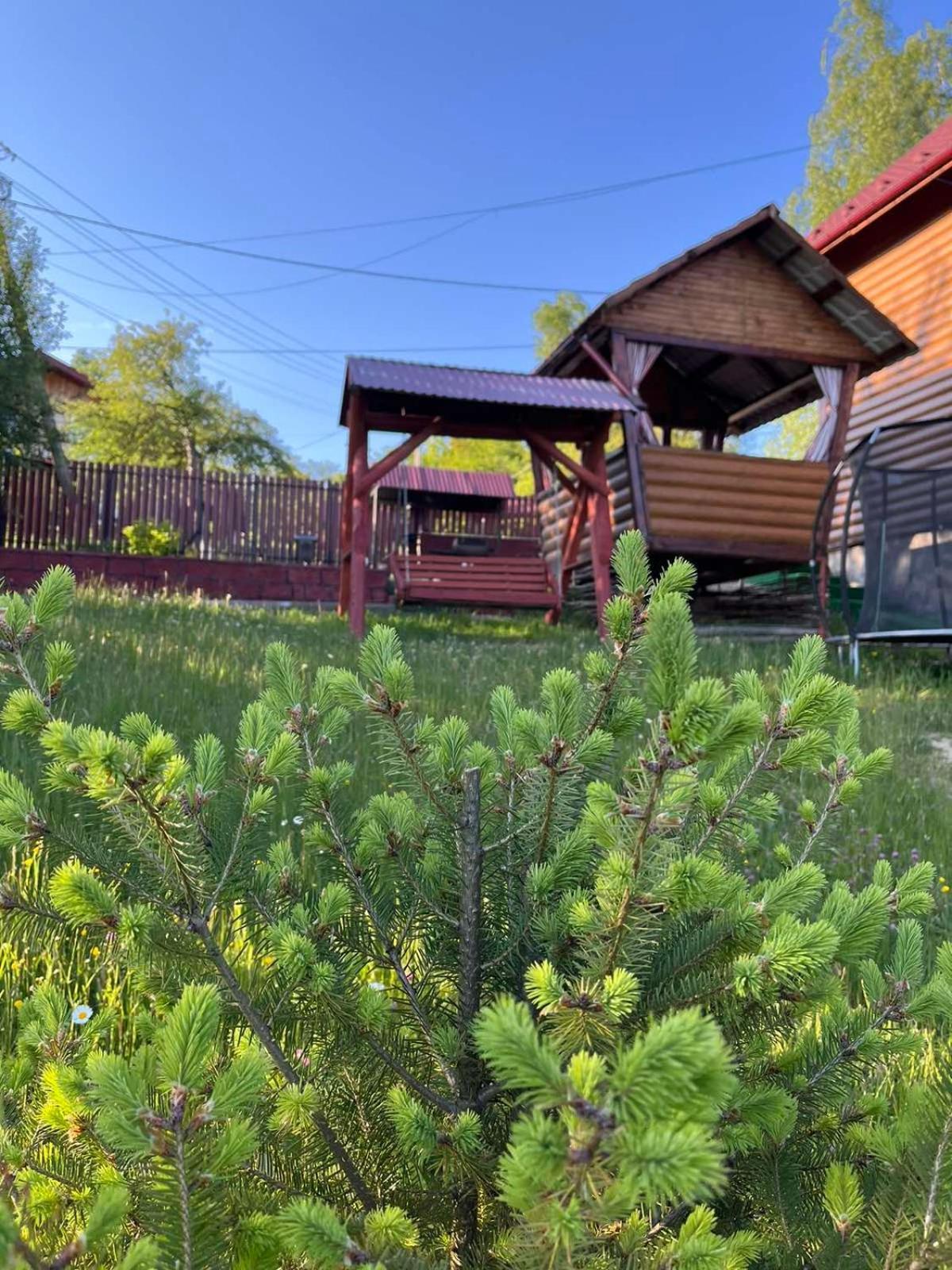 Сімейний Котедж Краєвид Mykulychyn Esterno foto