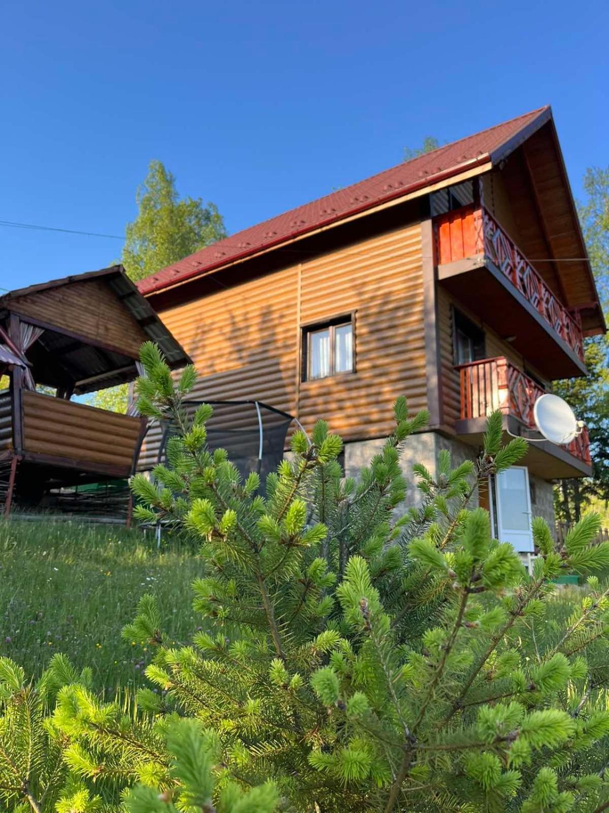 Сімейний Котедж Краєвид Mykulychyn Esterno foto